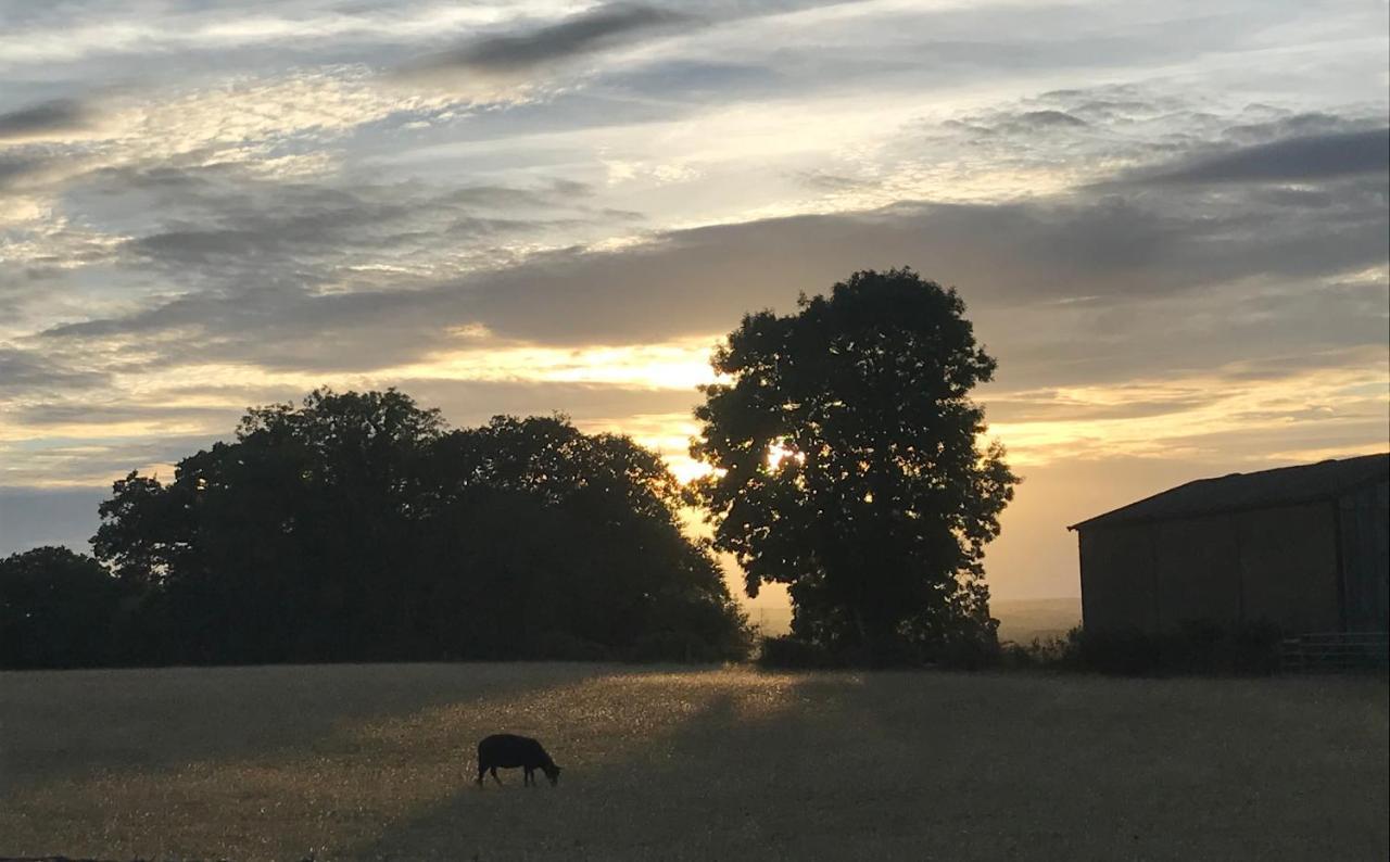 Redbrook Farm Bnb - Gateway To The New Forest Bed & Breakfast Fordingbridge Exterior photo