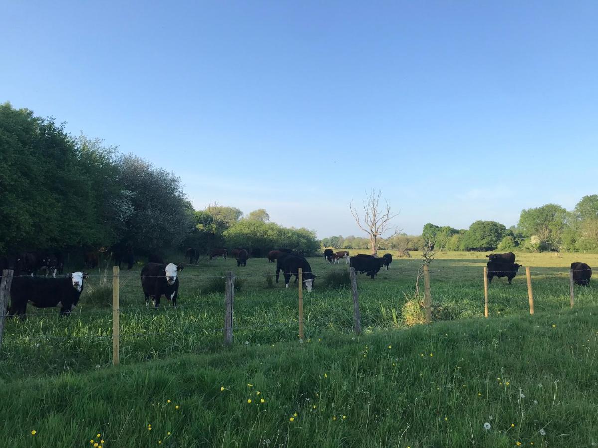 Redbrook Farm Bnb - Gateway To The New Forest Bed & Breakfast Fordingbridge Exterior photo