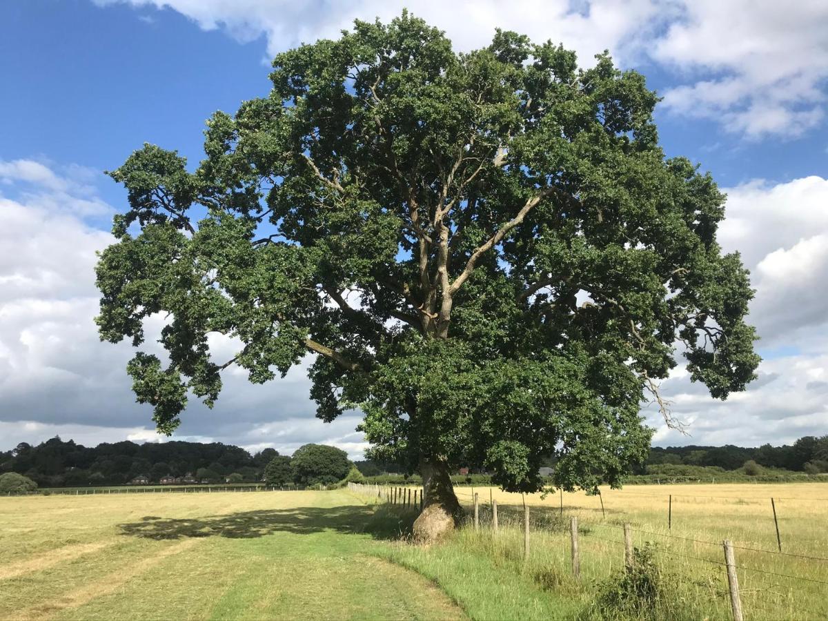 Redbrook Farm Bnb - Gateway To The New Forest Bed & Breakfast Fordingbridge Exterior photo