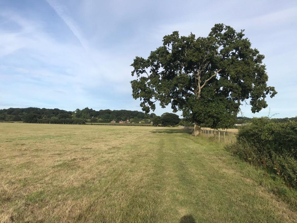 Redbrook Farm Bnb - Gateway To The New Forest Bed & Breakfast Fordingbridge Exterior photo