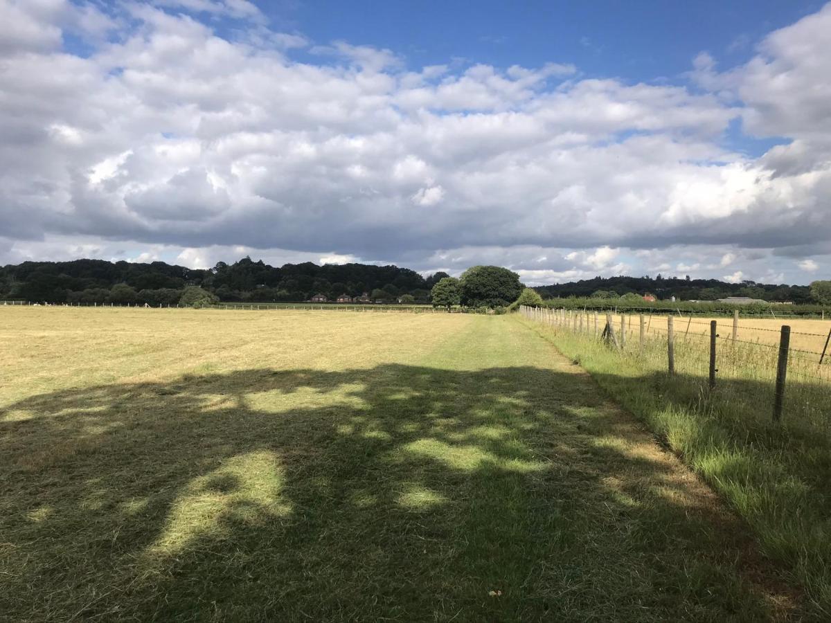 Redbrook Farm Bnb - Gateway To The New Forest Bed & Breakfast Fordingbridge Exterior photo