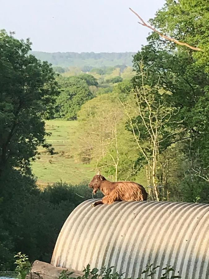 Redbrook Farm Bnb - Gateway To The New Forest Bed & Breakfast Fordingbridge Exterior photo