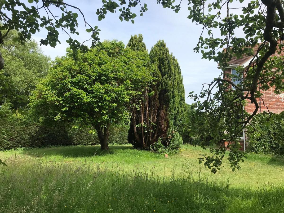 Redbrook Farm Bnb - Gateway To The New Forest Bed & Breakfast Fordingbridge Exterior photo